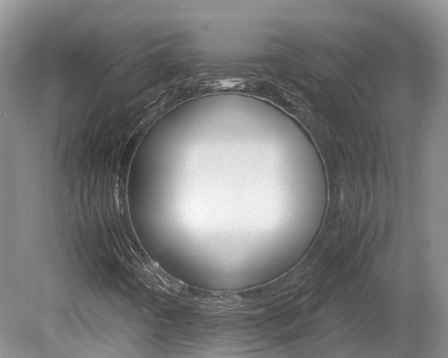 X0000080111442200612080943