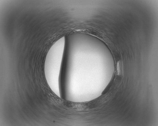 X0000080111443200612080943