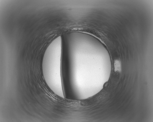 X0000080111444200612080943