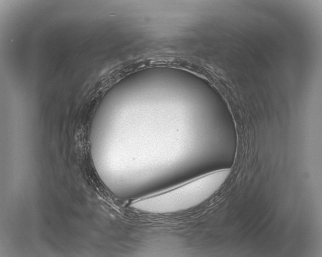 X0000080111445200612080943