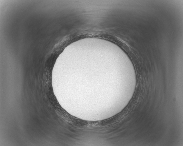 X0000080111447200612080943