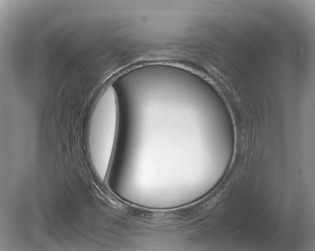 X0000080111449200612080943