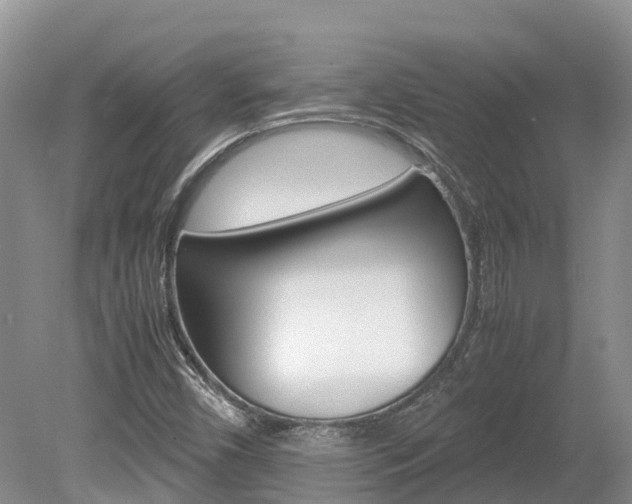 X0000080111450200612080943