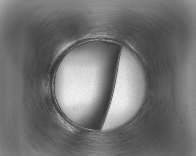 X0000080111452200612080943