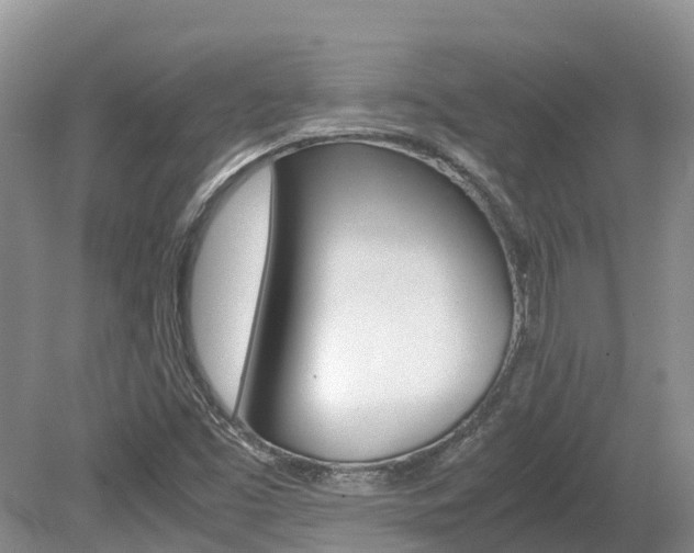 X0000080111453200612080943