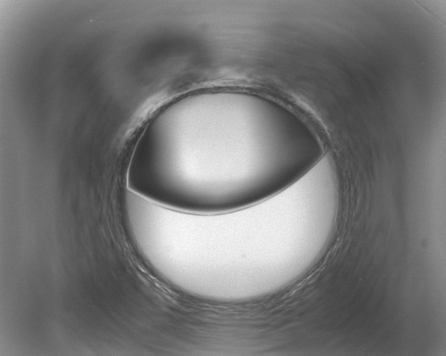 X0000080111455200612080943