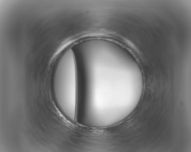 X0000080111456200612080943