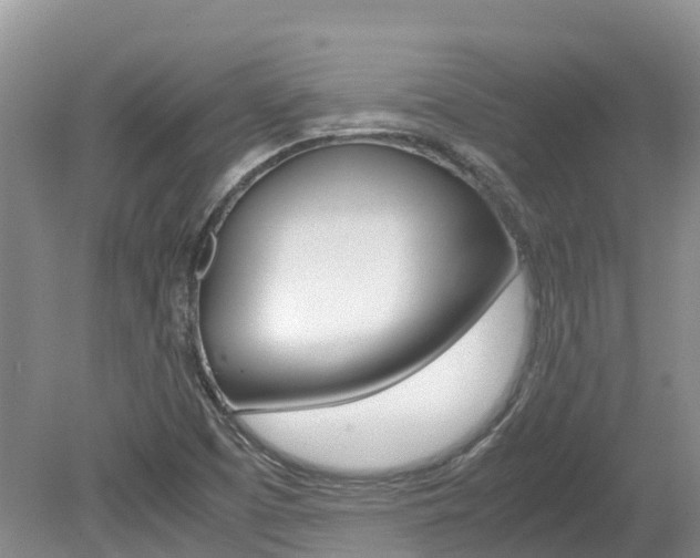 X0000080111457200612080943