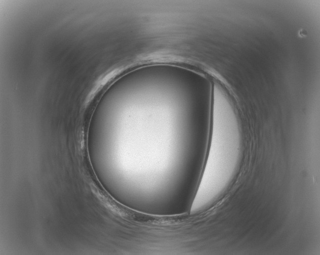 X0000080111461200612080943