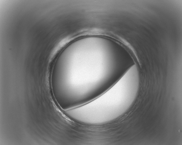 X0000080111464200612080943