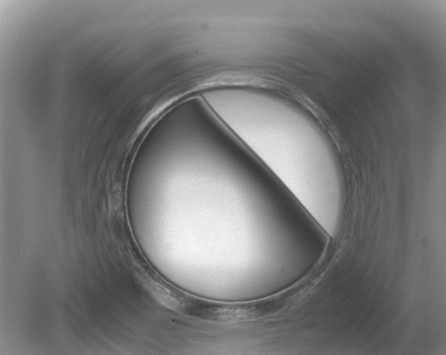 X0000080111465200612080942