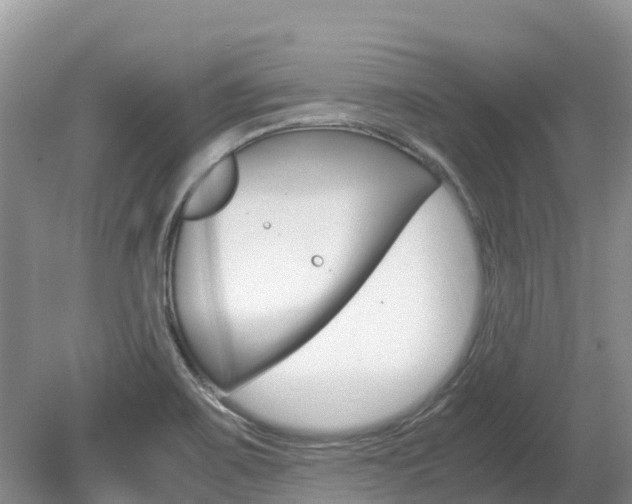 X0000080111467200612080942