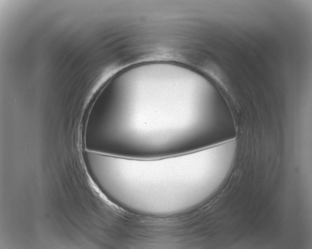 X0000080111468200612080942