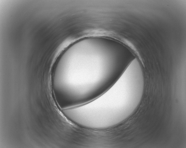 X0000080111472200612080942