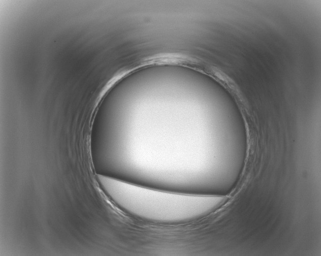 X0000080111473200612080942