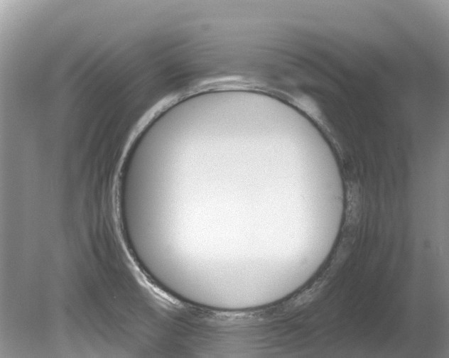 X0000080111474200612080942