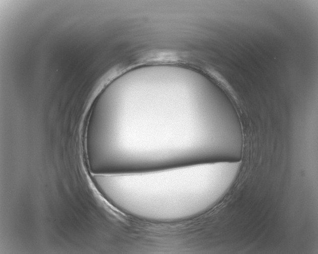 X0000080111475200612080942