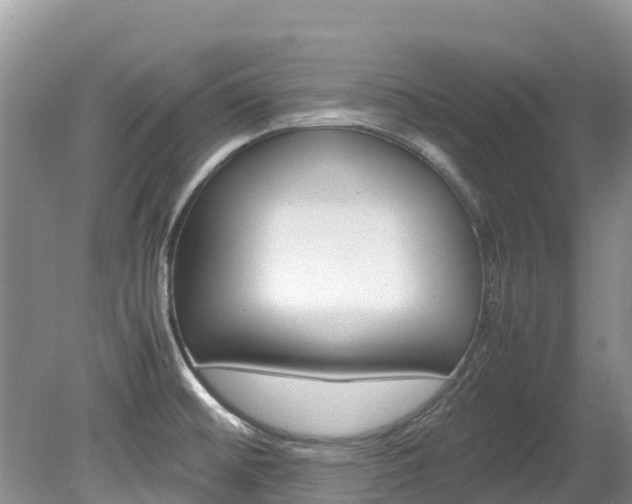 X0000080111476200612080942