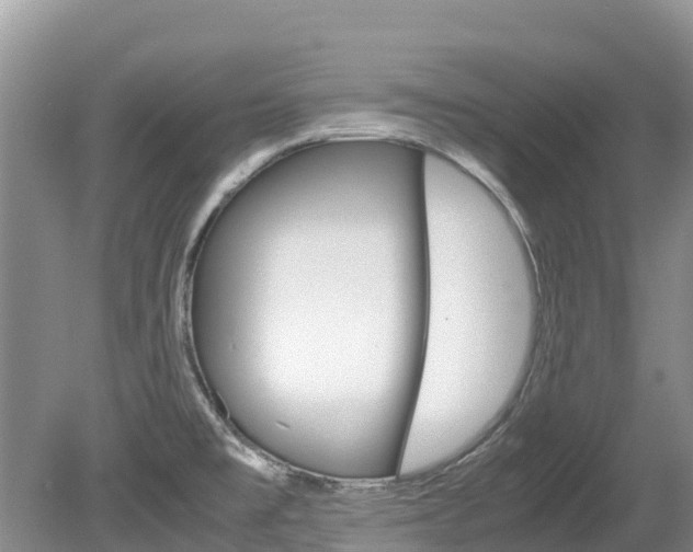 X0000080111477200612080942