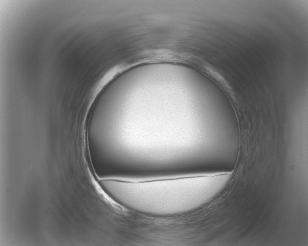 X0000080111479200612080942