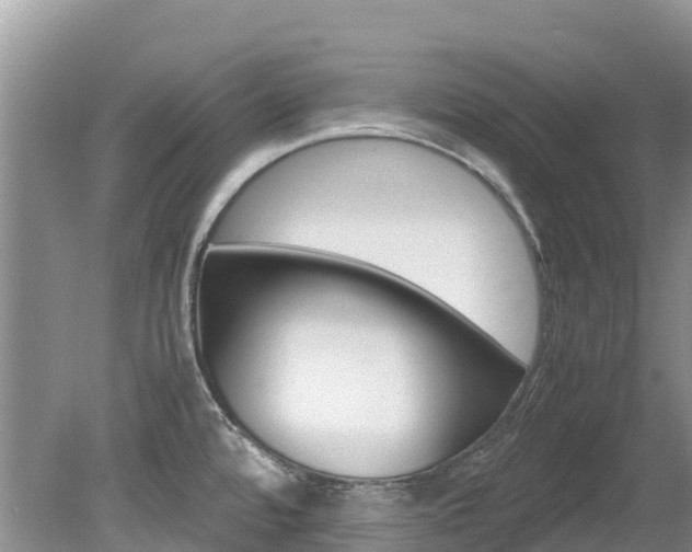 X0000080111480200612080942