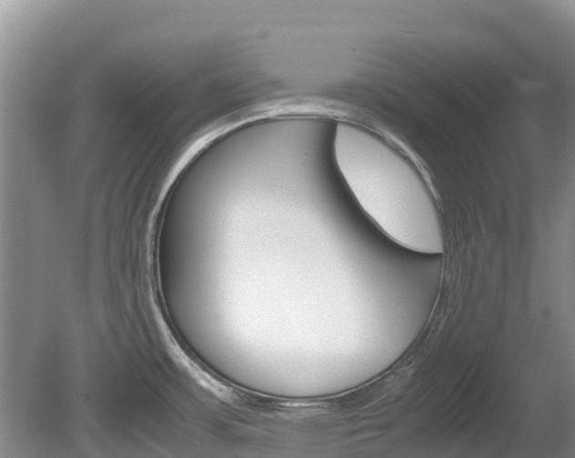 X0000080111483200612080942