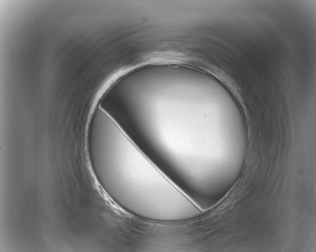 X0000080111488200612080942
