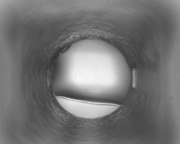 X0000080111491200612080941