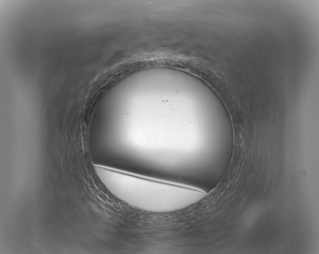 X0000080111493200612080941