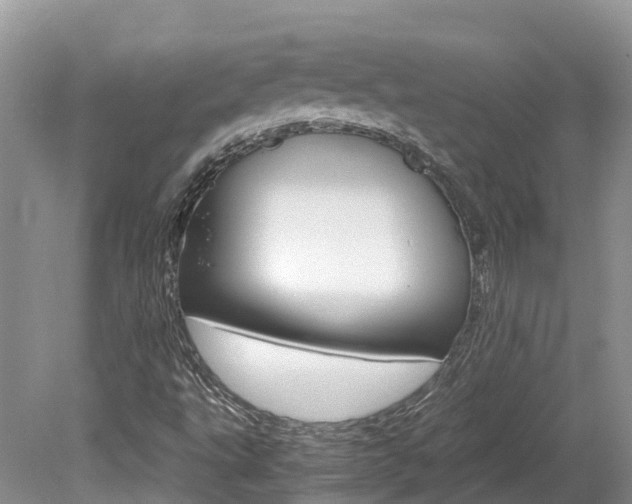 X0000080111495200612080941