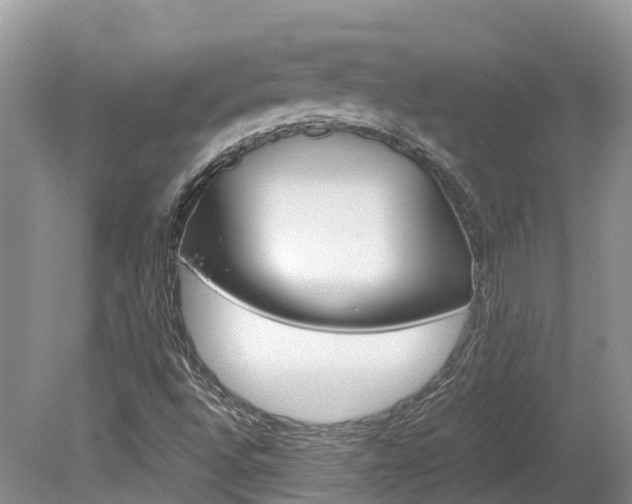 X0000080111496200612080941
