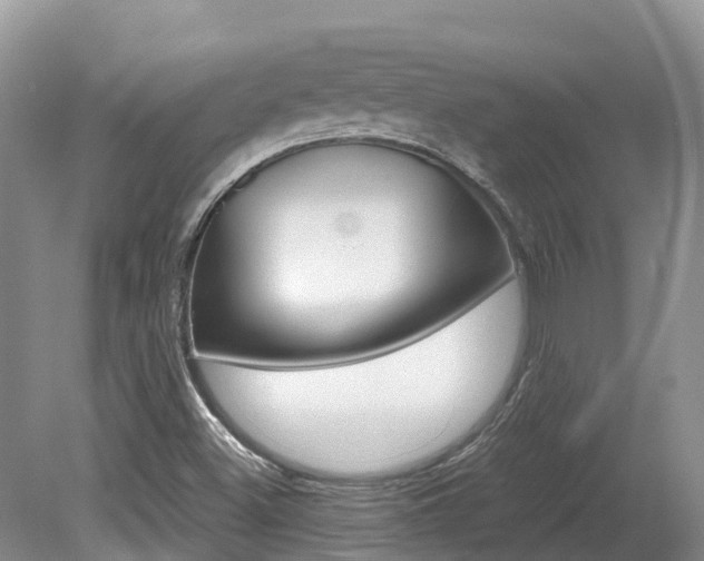 X0000080111500200612080941