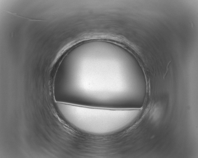 X0000080111501200612080942