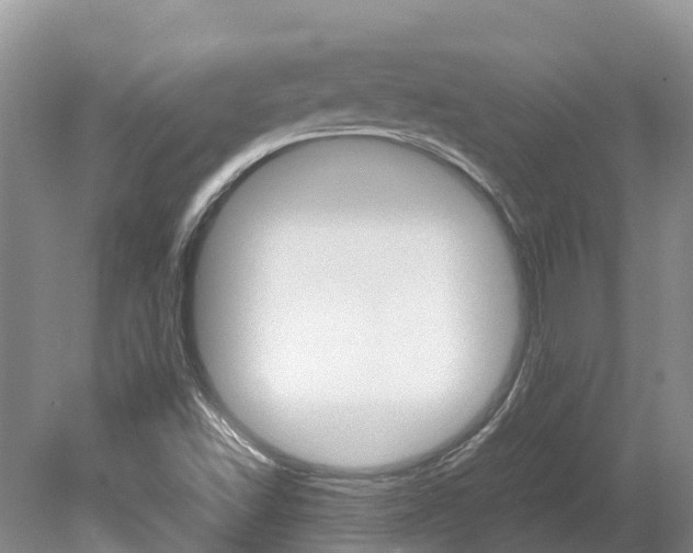 X0000080111502200612080942
