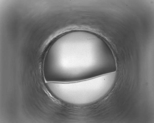 X0000080111503200612080942