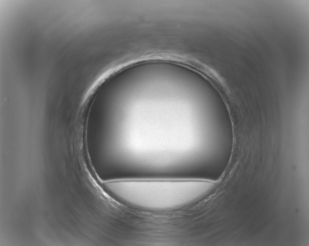 X0000080111504200612080942