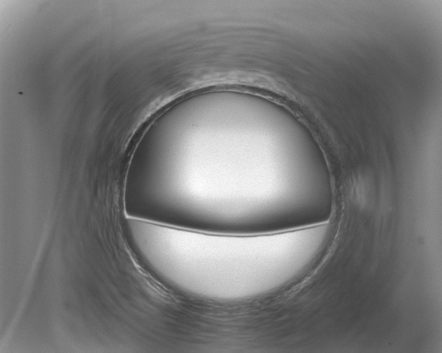 X0000080111505200612080942