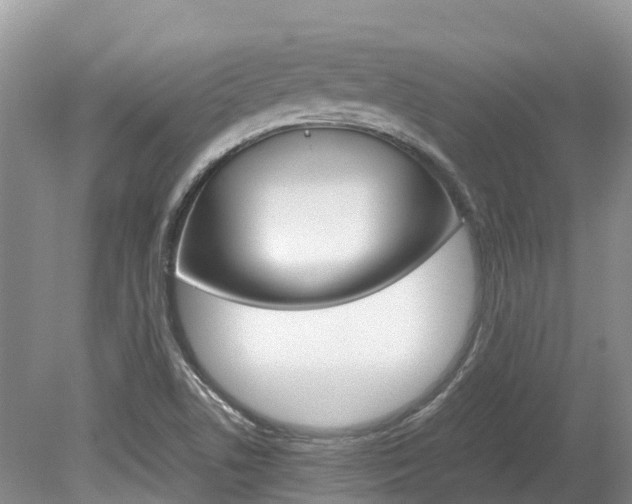 X0000080111506200612080942