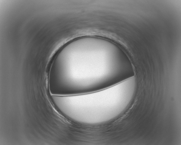 X0000080111509200612080942