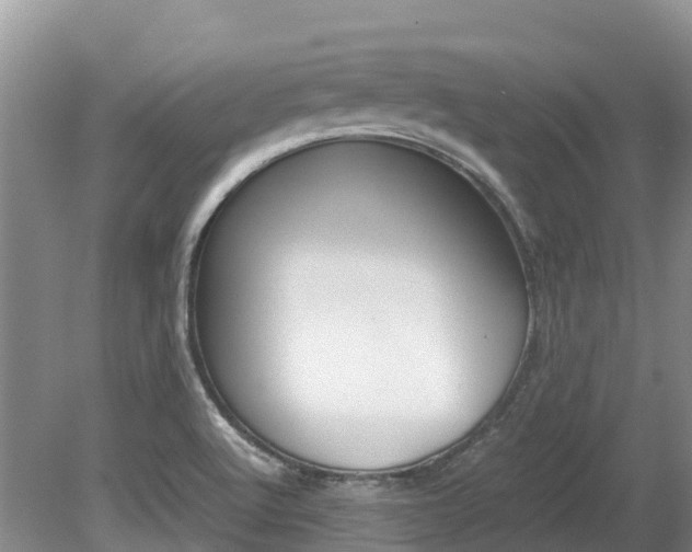 X0000080111512200612080942