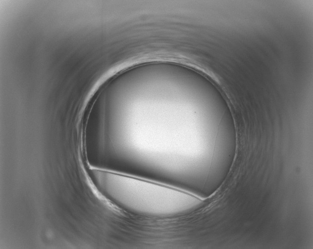 X0000080111515200612080942