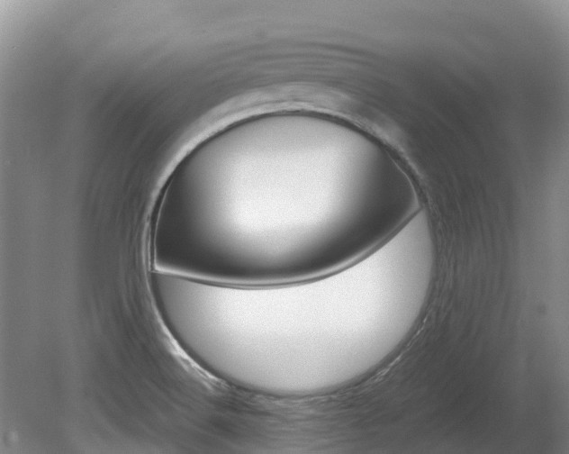 X0000080111516200612080942