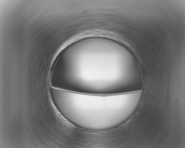 X0000080111522200612080942