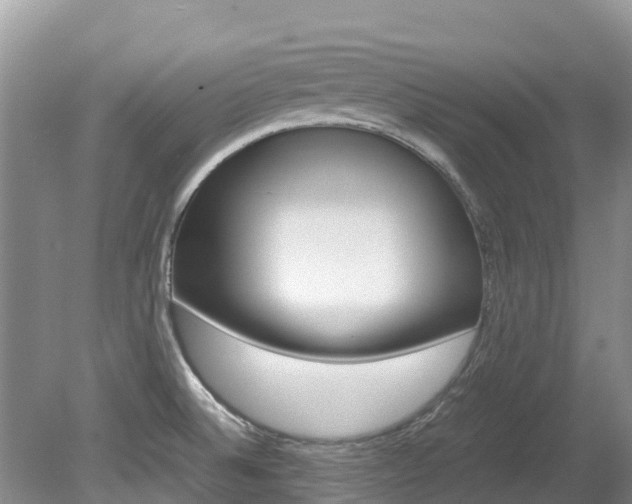 X0000080111524200612080942