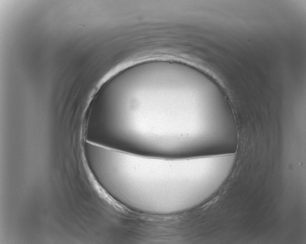 X0000080111526200612080942