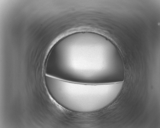 X0000080111527200612080942