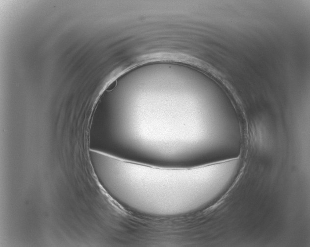 X0000080111529200612080942