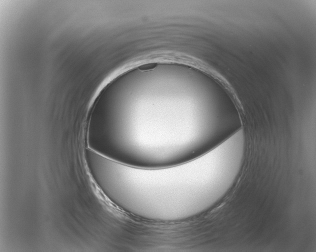 X0000080111530200612080942