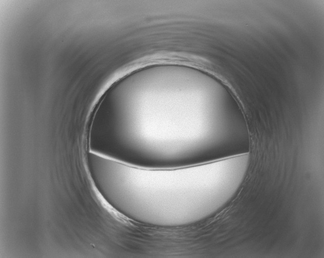 X0000080111531200612080942