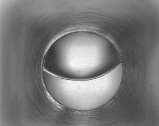 X0000080111532200612080942